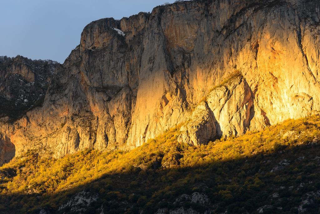 Aulos Studio Dış mekan fotoğraf